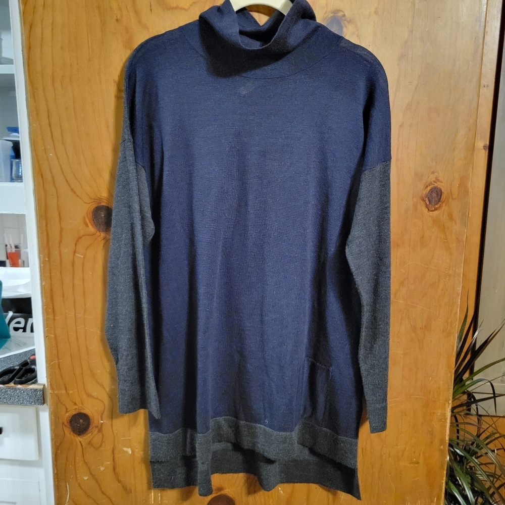 Eileen Fisher 100% Merino Wool Color Block Turtleneck Sweater